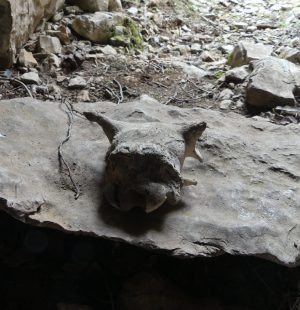 P1030635